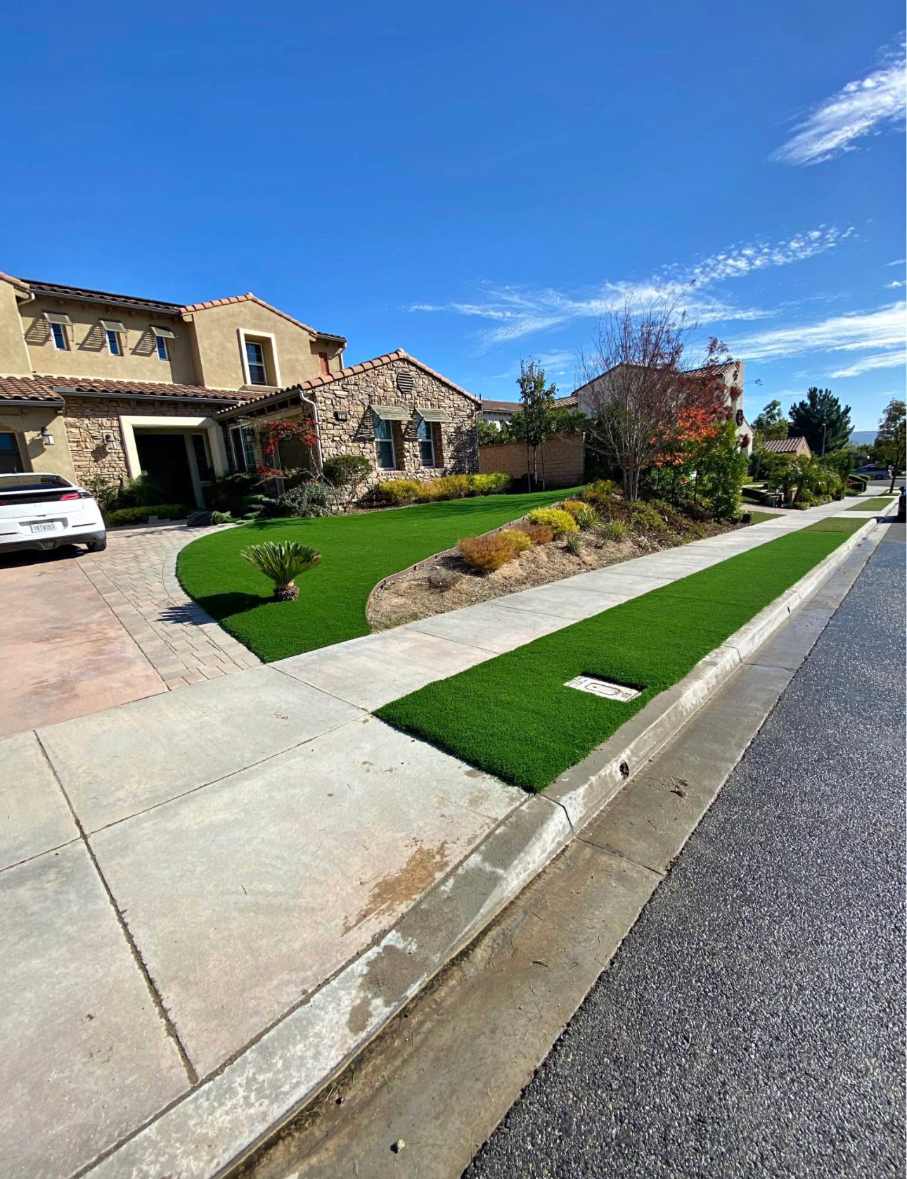 Finished front lawn and parkway in premium turf