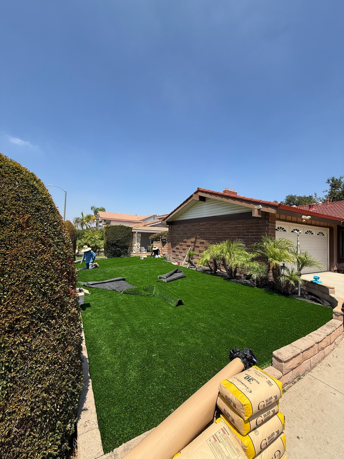 Finished front lawn in turf with palms and block seat wall